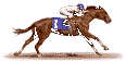 Racing horse