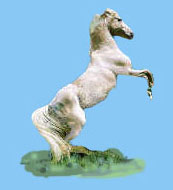 Jumping