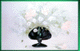 swhiteandpink.gif (4081 bytes)